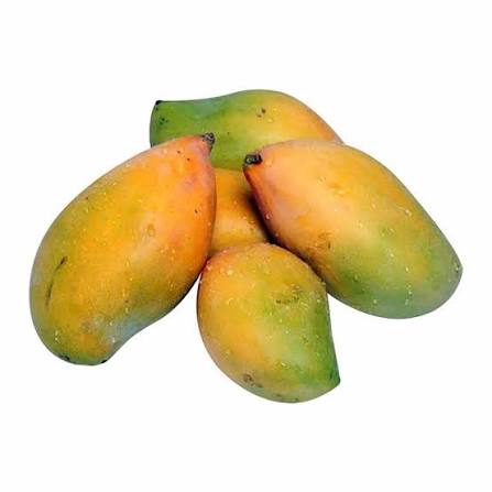 Taimour Egyptian mango